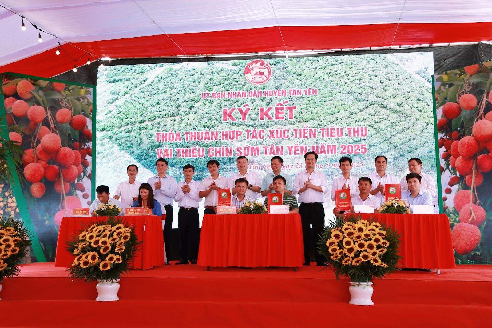 Xuất khẩu 20+ thị trường